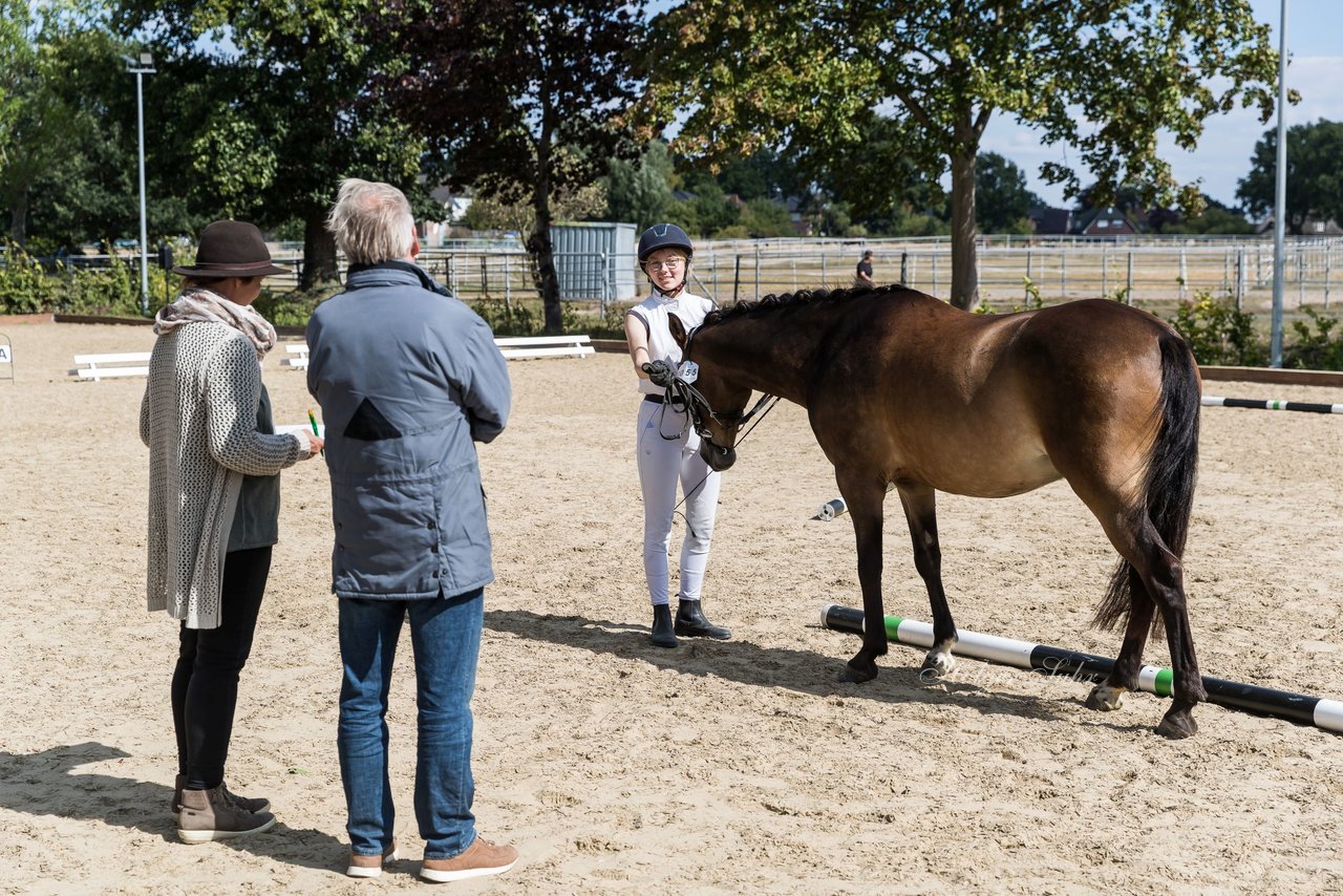 Bild 80 - Pony Akademie Turnier